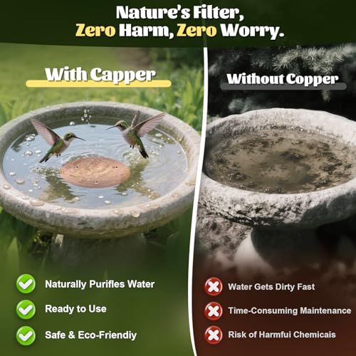 NNG 1 Pack Bird Bath Copper Disk,0.6mm Thick Reinforced 99.9% Pure Copper Bird Bath Purification Disk with Triple-Point Support,Physical Safe Water Cleaner for Outdoor Birdbaths Bowls,All-Season Use