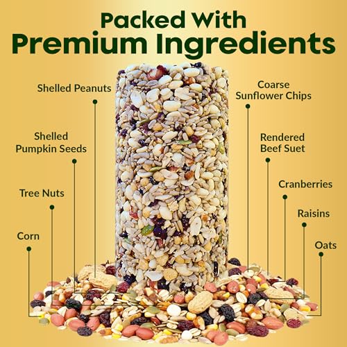 Woodpecker Bird Seed Cylinders with Hole – Premium Woodpecker Food Blend with Sunflower Chips, Peanuts & Suet – Natural High Energy Bird Seed, No Filler, No Shell, No Mess – USA Made (4" x 7.75")