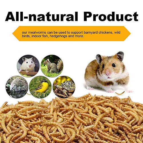 20lbs Mealworms, High-Protein Dried Mealworms for Birds, Chickens, Turtles, Fish, Hamsters and Hedgehogs, Non-GMO and Chemical Free, All Natural Animal Feed