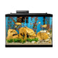 Tetra Aquarium, 20 Gallon, Complete Tropical Fish Tank Kit With LED Lighting And Decor For Freshwater Fish