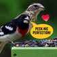 All Birds Wild Bird Seed – 10 lb. Classic Blend with Black Oil Sunflower, White Millet, Safflower, Peanuts & Sunflower Hearts – Balanced Bird Food for Outside Feeders