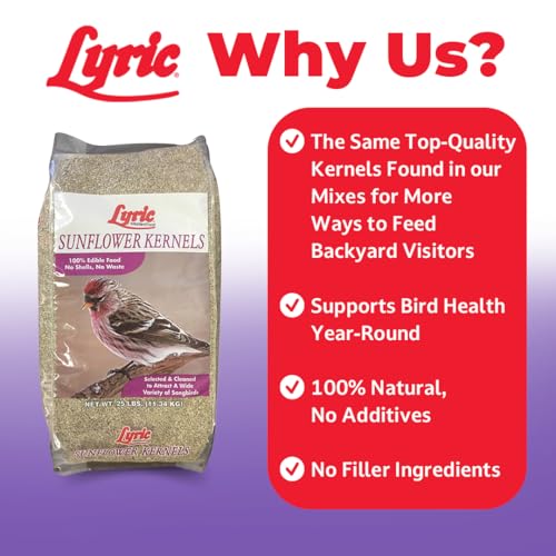 Lyric Sunflower Kernels Wild Bird Seed for Outside Feeders, No Waste Bird Food, Attracts Finches and More, 25 lb Bag