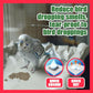 HASHI Bird Cage Liner - 120 Disposable Sheets Made from Acid-Free Newsprint. Non-Toxic for Birds, Ideal for Packing, Pet Cages, Crafts, Shipping, and Moving. Easy to Clean (31"x21.5")