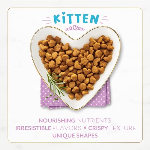 Purina Fancy Feast Kitten With Savory Chicken and Turkey Kitten Dry Food - 3 lb. Bag