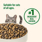 Nutrish Premium Natural Dry Cat Food, Real Chicken & Brown Rice Recipe, 14 Pounds (Packaging May Vary), (Rachael Ray Nutrish)