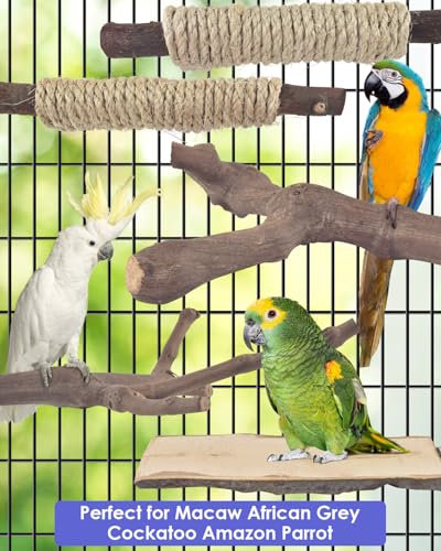 Bissap 5PCS Large Bird Perch Stand, Natural Wood Pole Standing Paw Grinding Fork Parrot Cage Branch with Rope for Macaw African Grey  Pet Medium Large Birds Cage Accessories