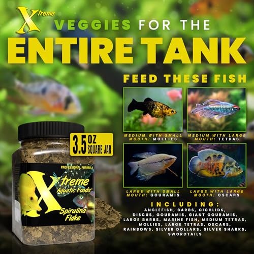 Xtreme Spirulina Flakes - Balanced Herbivorous Diet for Tropical and Marine Fish, Enhanced Health, Vibrant Colors - USA Farm Grown - Ideal for Cichlids, Barbs, Tetras and Guppies (3.5oz)