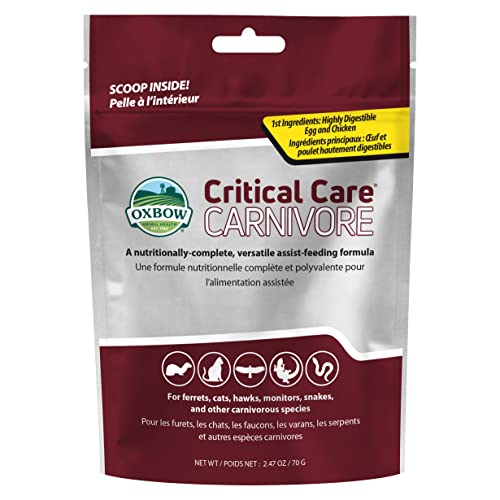 Oxbow Critical Care Carnivore, Made with Whole Egg & Dried Chicken, Assist Feeding Formula for Carnivores, Cat Supplements, Ferret Food Recovery, Small Animal Pet Products, Made in USA, 70 Gram Bag