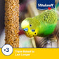 Vitakraft Crunch Sticks Parakeet Treat - Triple-Baked Millet Parakeet Treats with Natural Wood Center - Crunchy & Nutritious Bird Treat Sticks for Small Animals (12 Count, Honey, Egg, and Apple)