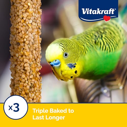 Vitakraft Crunch Sticks Parakeet Treat - Triple-Baked Millet Parakeet Treats with Natural Wood Center - Crunchy & Nutritious Bird Treat Sticks for Small Animals (12 Count, Honey, Egg, and Apple)