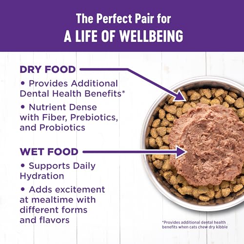 Wellness Complete Health Adult Dry Cat Food for Indoor and Outdoor Cats, Grain Free, Natural, Chicken & Chicken Meal (5.5 Pound Bag)