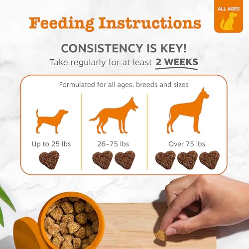 Zesty Paws Probiotics for Dogs - Digestive Enzymes for Gut Flora, Digestive Health, Diarrhea & Bowel Support - Clinically Studied DE111 - Dog