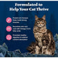 Blue Buffalo Wilderness Natural High Protein, Grain Free Dry Food for Adult Cats, Salmon, 11-lb Bag