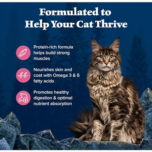 Blue Buffalo Wilderness Natural High Protein, Grain Free Dry Food for Adult Cats, Salmon, 11-lb Bag