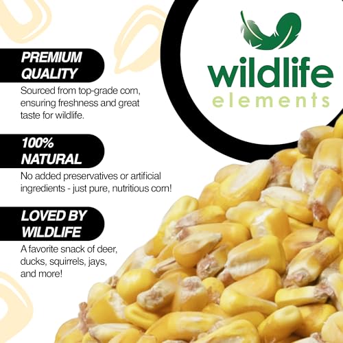 Critter Corn, Natural Whole Shelled Corn for Wildlife, 44lb Bag – High-Energy Feed for Deer, Squirrels, Turkeys, Ducks, Raccoons, and More – USA Sourced