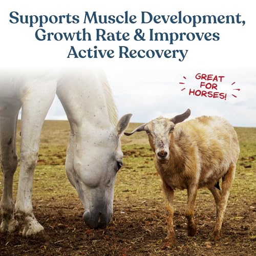 Manna Pro Calf-Manna, Multi-Species Performance Supplement for Livestock, Poultry, Cattle, Goats, Rabbits, Swine, Horses & Deer, High-Protein Animal Feed Additive for Growth, Weight Gain, 10 lb Bag