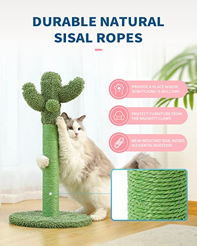 Made4Pets Cat Scratching Post, 25.6" Cactus Cat Scratcher Kitten Scratch Post with Sisal Rope for Indoor Cats Claw Scratcher, Vertical Green Cat Tree with Dangling Ball for Kitties Medium