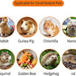 700g Apple Sticks Molar Wood Treats, Rabbit Toys Chinchilla Guinea Pig Bunny Toys Wood Chews Sticks for Teeth Rabbit Food Guinea Pig Hamster Gerbil Chews Small Animals Snacks(200 Pcs)