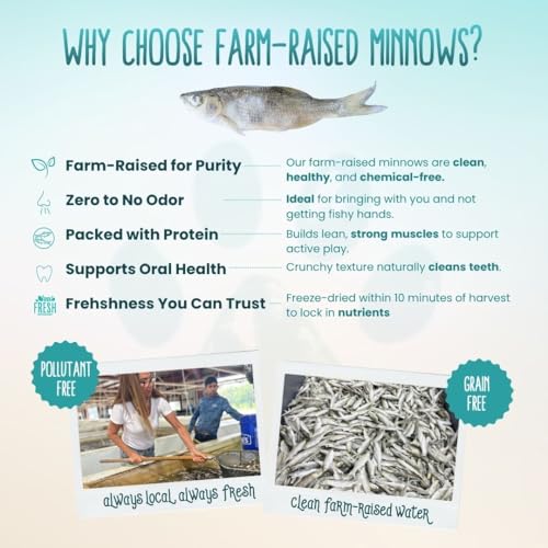 Otis & Pearly Freeze Dried Minnows Dog Treats, 2oz - Single Ingredient Dog Treat, Made in USA - Healthy Protein for Small, Medium, Large Breeds