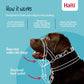 Halti Headcollar - Stop Your Dog Pulling on the Leash. Adjustable, Reflective and Lightweight, with Padded Nose Band. Dog Training Anti-Pull Collar