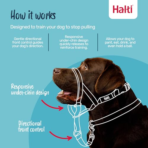 Halti Headcollar - Stop Your Dog Pulling on the Leash. Adjustable, Reflective and Lightweight, with Padded Nose Band. Dog Training Anti-Pull Collar
