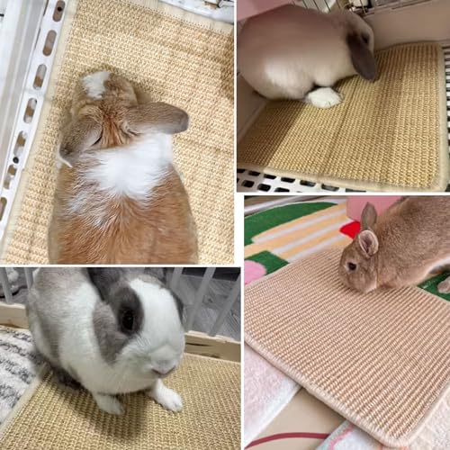 Oncpcare 2PCS Rabbit Scratch Mat Natural Bunny Scratching Pad Claws and Teeth Care Rabbit Mats for Cages Chew Toys for Bunny Pet Cage Bedding for Biting Sleeping Nesting, 16x12