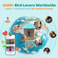 NETVUE by Birdfy Smart Bird Feeder with 2K AI Camera, Auto Capture Videos & Motion Detection, Live Steam, Wireless Wildbird Watching, Ideal Gift for Outdoor Backyard Birder(AI by Subscription)