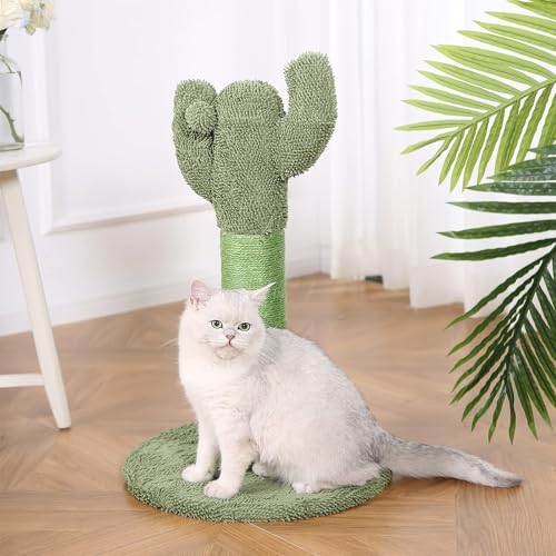 Basics Cat Scratcher - Indoor Cactus Single Cat & Kittens Scratching Post with Dangling Ball, Medium (25.6" H) - Green