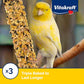Vitakraft Crunch Sticks Parakeet Treats Egg and Honey Flavor 2 Pack - Long Lasting Seed Stick with Natural Wood Center Clip Holder and Nutritious Ingredients for Happy Engaged Birds
