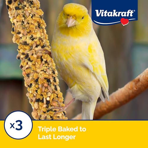Vitakraft Crunch Sticks Parakeet Treats Egg and Honey Flavor 2 Pack - Long Lasting Seed Stick with Natural Wood Center Clip Holder and Nutritious Ingredients for Happy Engaged Birds