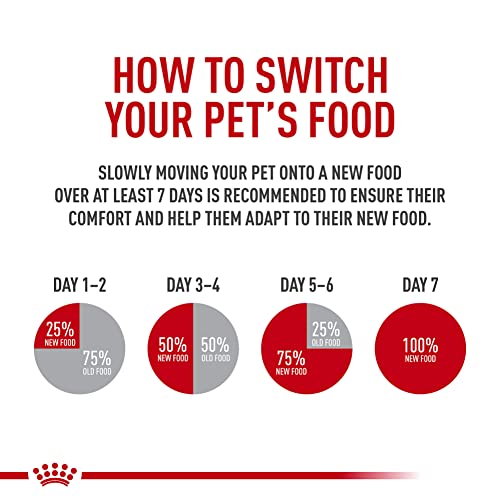 Royal Canin Feline Care Nutrition Hairball Care Adult Dry Cat Food, 6 lb Bag
