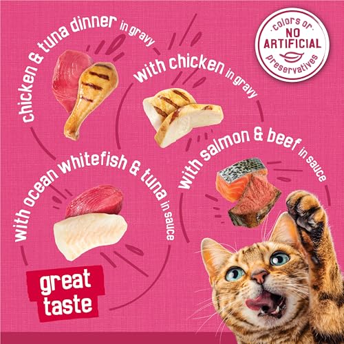 Purina Friskies Gravy Wet Cat Food Variety Pack, Surfin’ and Turfin’  Filets Favorites - (Pack of 40) 5.5 oz. Cans