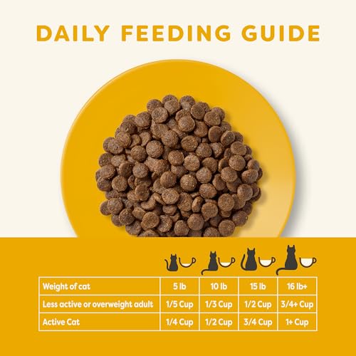 Applaws Complete Dry Cat Food, Grain-Free, Limited Ingredient with Added Vitamins & Minerals, Protein, Supports Digestion, Chicken & Salmon (4 Pound Bag)