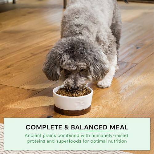 Open Farm, Ancient Grains Dry Dog Food For Small Breeds, Protein-Rich & Nutrient Dense, 90% Animal Protein With Non-GMO Fruits, Veggies and