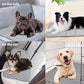 Dog Cooling Mat for Large Dogs – 35"x23" Orthopedic Memory Foam Pad for Summer, Hot Weather & Joint Relief | Washable, Non-Slip Crate Mat for Senior