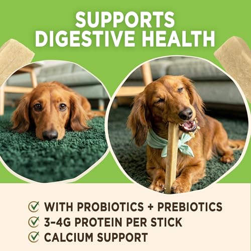 EcoKind Yogurt Dog Chews – Bacon | Dog Treats with Probiotics for Digestive Health, Gut Support & Wellness | Lactose Free, Grain Free, Natural Dog