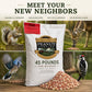 Wakefield Virginia Peanuts 45LB Bulk Bag Shelled Raw Unsalted for Squirrels, Birds, Deer, Pigs and a Wide Variety of Wildlife