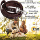 ADITYNA Leather Dog Leash 6 ft x 3/4 inch - Soft, Strong, Heavy Duty for Large & Medium Breeds - Dog Lead for Walking, Training, Hiking and Running