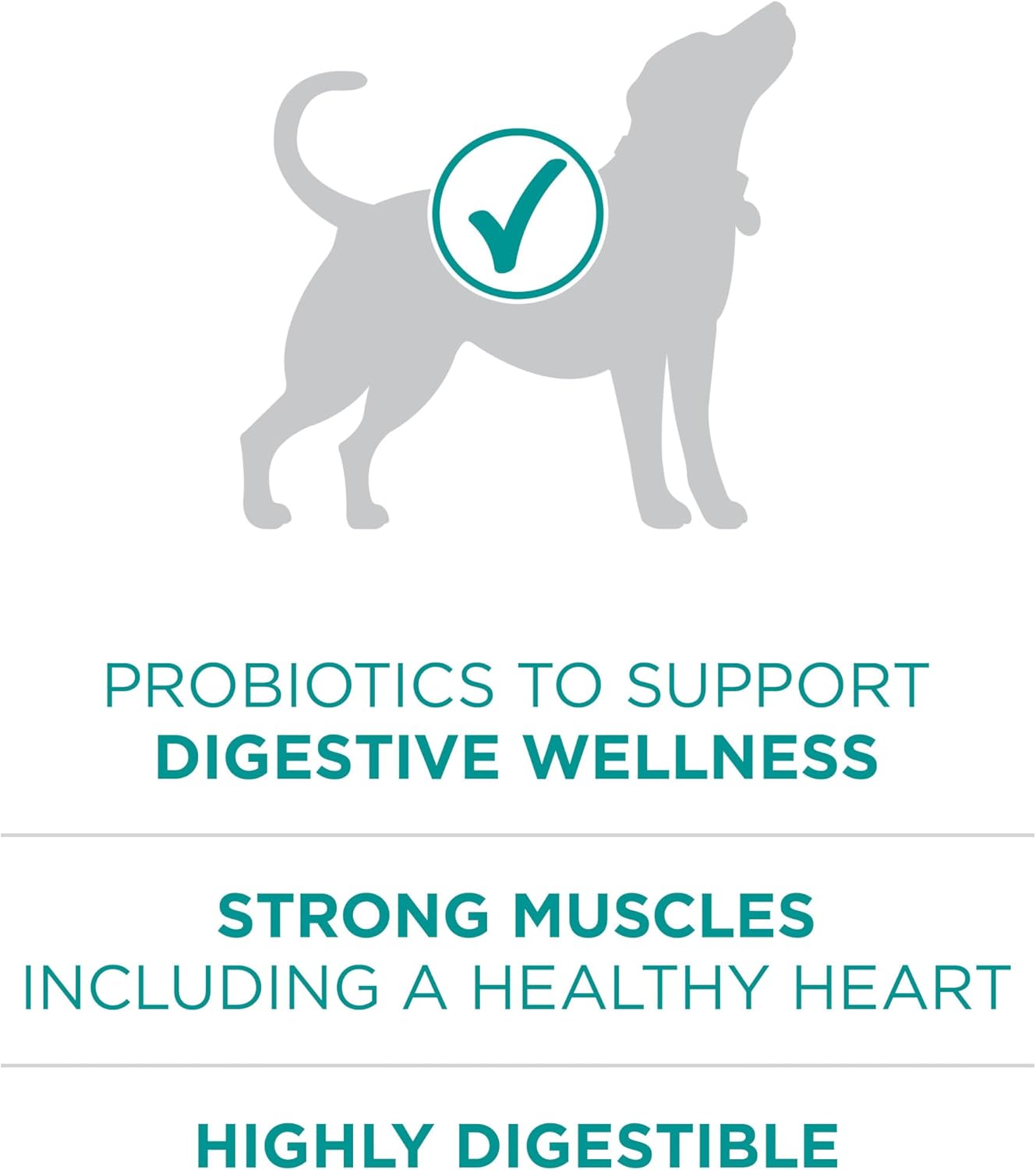 Purina One Plus Digestive Health Formula Dry Dog Food Natural with Added Vitamins, Minerals and Nutrients - 31.1 Lb. Bag