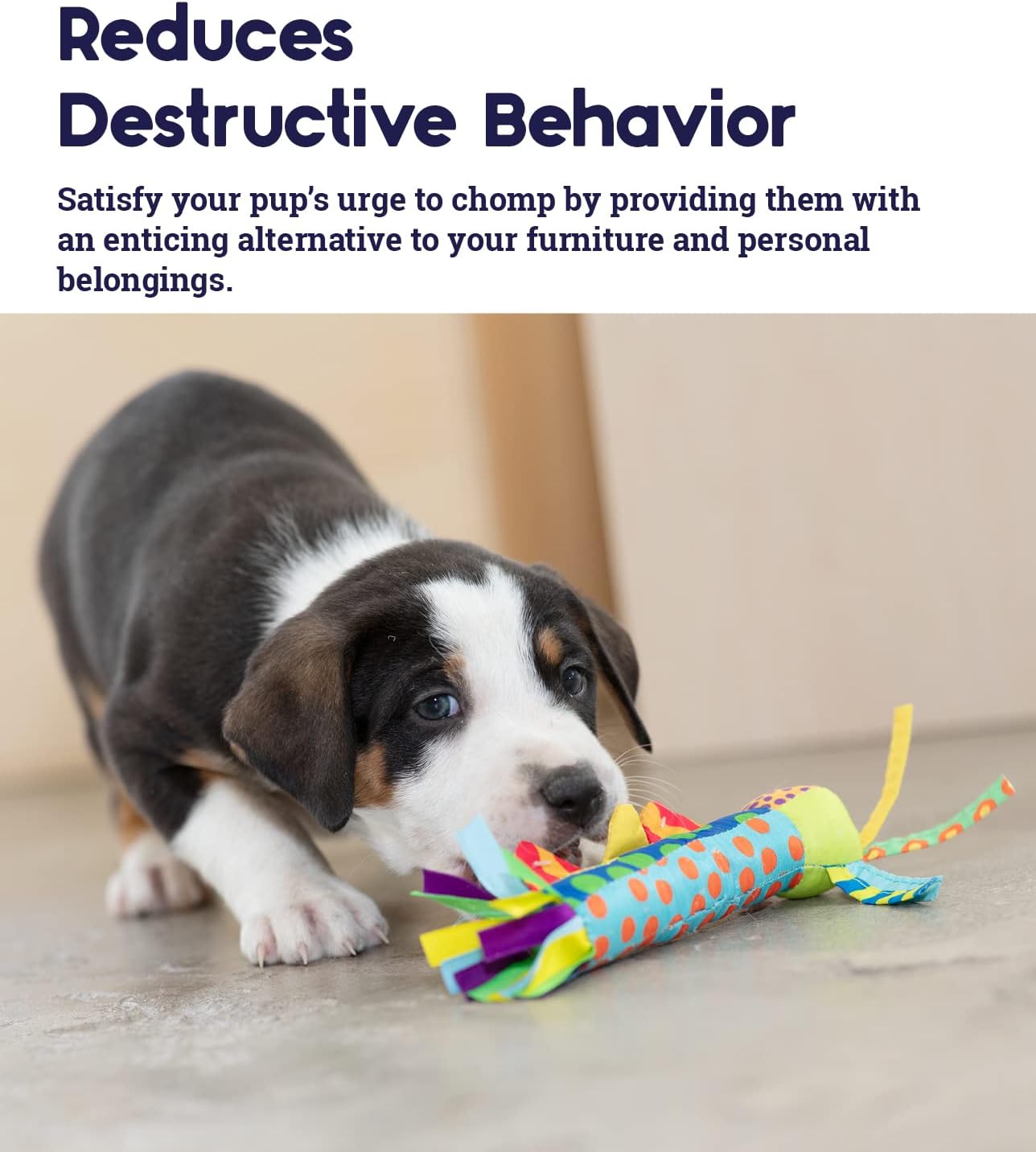 Petstages Pupstages Cool Teething Stick – Puppy Chew Toy for 0–6 Month Puppies, Teething Relief, Freezable & Durable