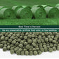 Timothy Hay Cubes 6oz -100% Natural Timothy Hay Made for Rabbits Sulcata Tortoise Guinea Pig, 6 oz