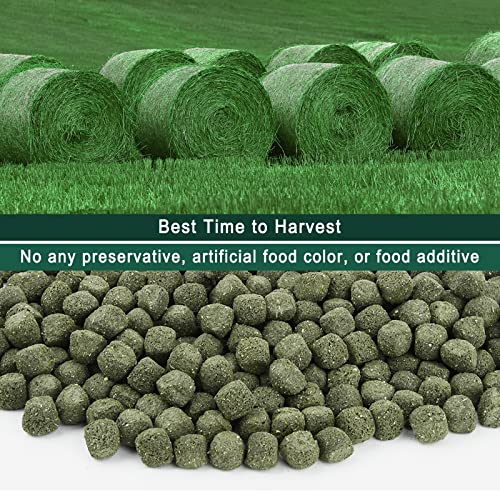 Timothy Hay Cubes 6oz -100% Natural Timothy Hay Made for Rabbits Sulcata Tortoise Guinea Pig, 6 oz
