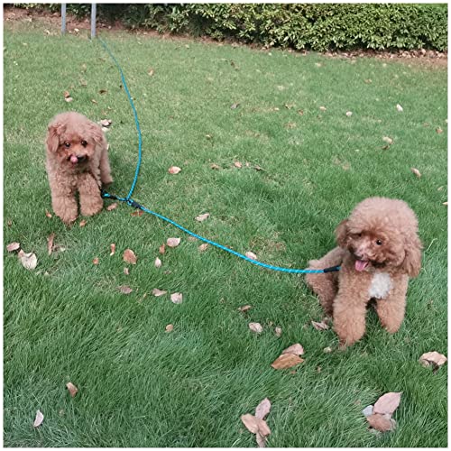BTINESFUL 12FT 20FT 30FT 50FT Reflective Dog Tie Out for 2 Dogs, No Tangle 20ft by 1/3 Inch Nylon Rope Long Tether for Two Dogs, Dog Trolley Runner