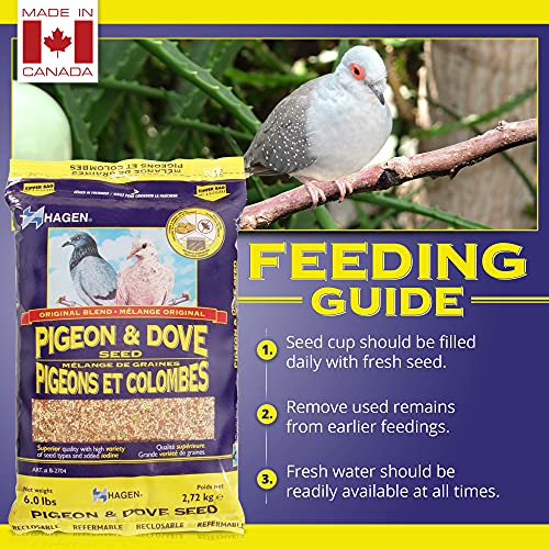 Hagen Pigeon & Dove Seed, Original Formula Bird Food, 6 lb Bag – Nutritionally Complete Seed Mix with Vitamins & Minerals – Wild & Captive Bird Diet – Insect-Resistant Air-Tight Packaging