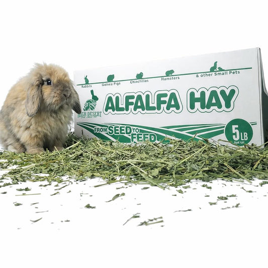 High Desert Alfalfa Hay, Protein Rich Soft Leaf Food for Young Growing Animals, Natural Rabbit Food and Guinea Pig Hay, Supports Digestive Health, Small Pet Supplies, Fresh Hand Packed 5 Lb Box