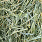 Oxbow Alfalfa, Guinea Pig Hay, Rabbit Hay, Small Pet Bunny Supplies, All Natural Grass for Guinea Pig, Bunny, Chinchilla & Hamster, Oxbow Rabbit Supplies, Grown in USA, 9 lb box