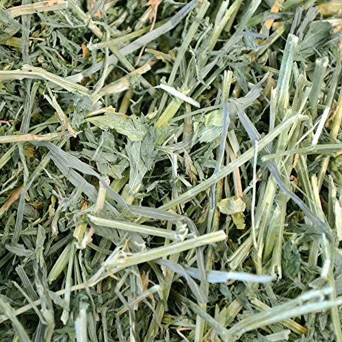Oxbow Alfalfa, Guinea Pig Hay, Rabbit Hay, Small Pet Bunny Supplies, All Natural Grass for Guinea Pig, Bunny, Chinchilla & Hamster, Oxbow Rabbit Supplies, Grown in USA, 9 lb box