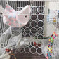 2 Pack Hanging Rat Rope Net, Bird Swing Toy, Parrot Climbing Ladder Bridge for Small Animal Cage Accessories