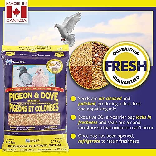 Hagen Pigeon & Dove Seed, Original Formula Bird Food, 6 lb Bag – Nutritionally Complete Seed Mix with Vitamins & Minerals – Wild & Captive Bird Diet – Insect-Resistant Air-Tight Packaging