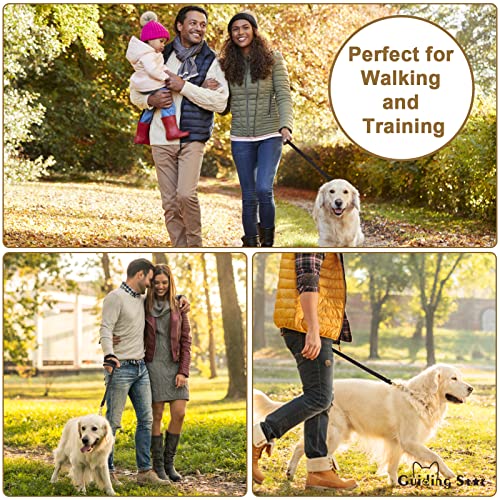 Guiding Star Leather Dog Leash 6ft, Dog Leashes for Large Dogs Heavy Duty, Soft Braided Handmade Leather Training Leash for Large & Medium Dogs